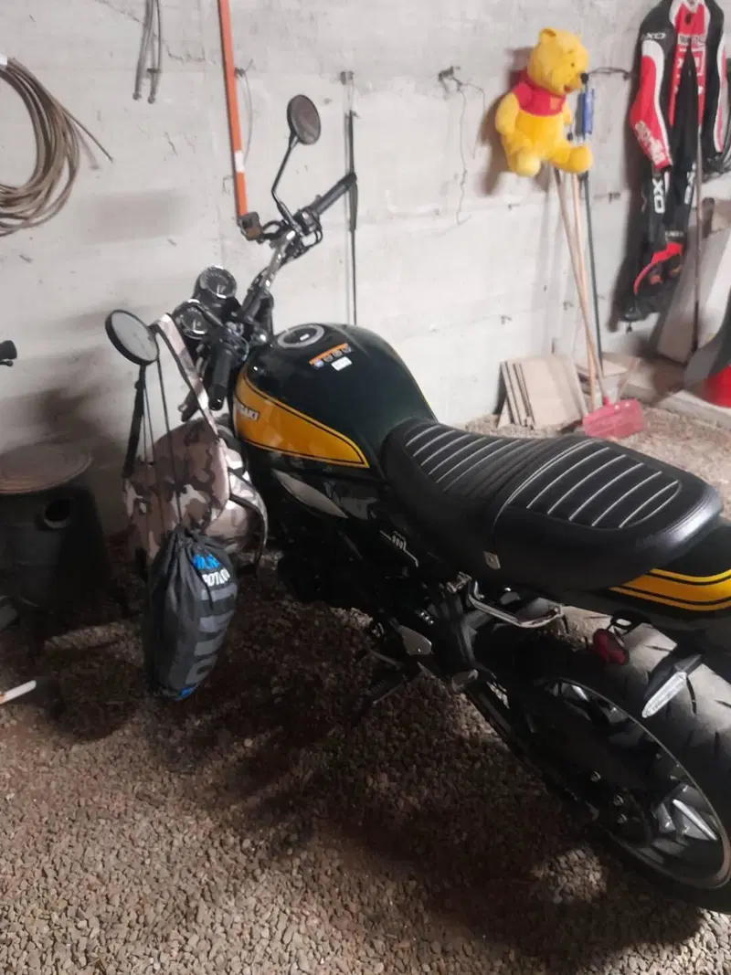 Kawasaki Z 900 (2021 - 24) (3)