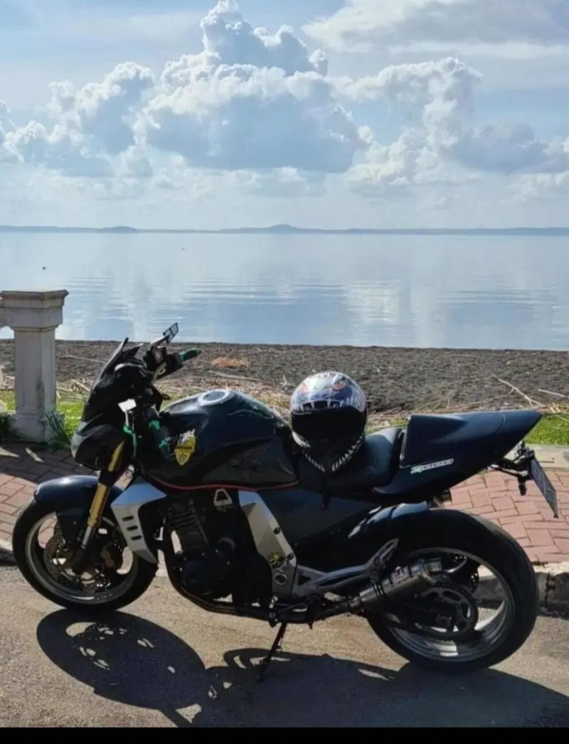 Kawasaki Z 1000 (2003 - 06) (3)