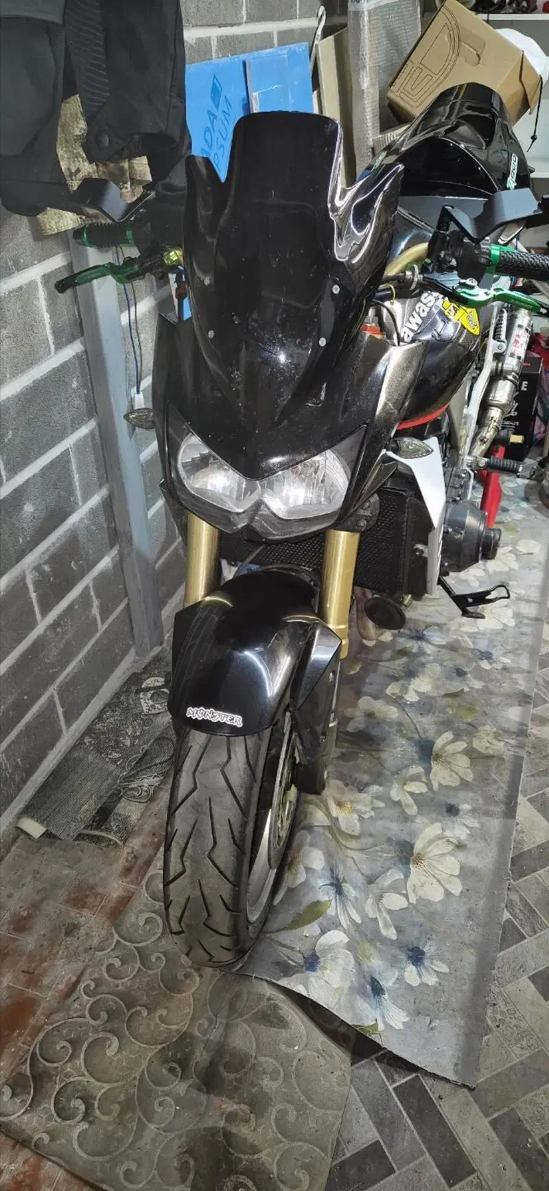 Kawasaki Z 1000 (2003 - 06) (5)