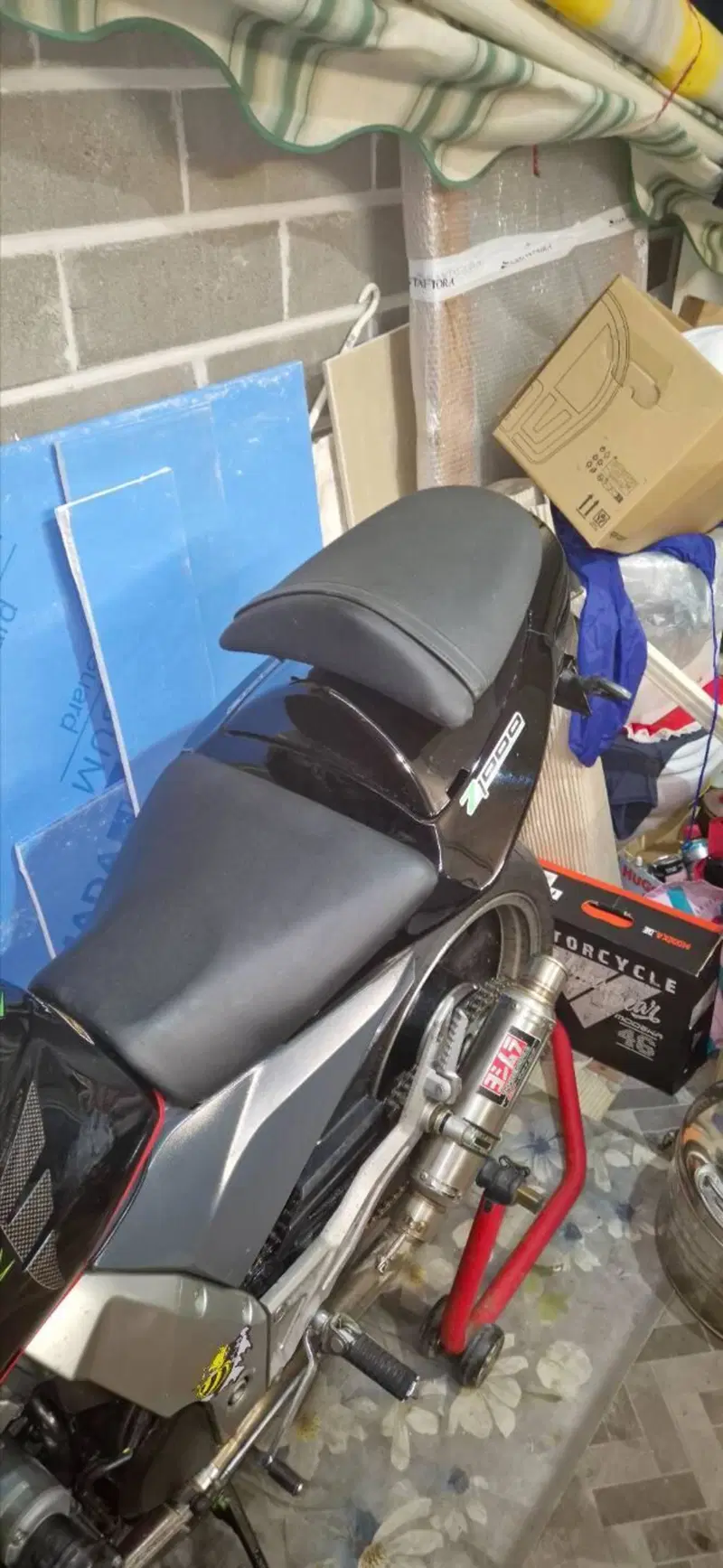 Kawasaki Z 1000 (2003 - 06) (10)