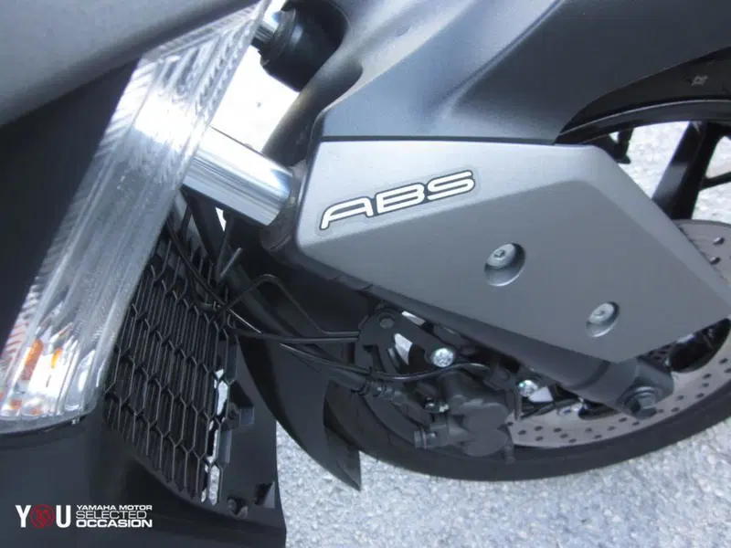 Yamaha X-Max 300 ABS (2017 - 20) (4)