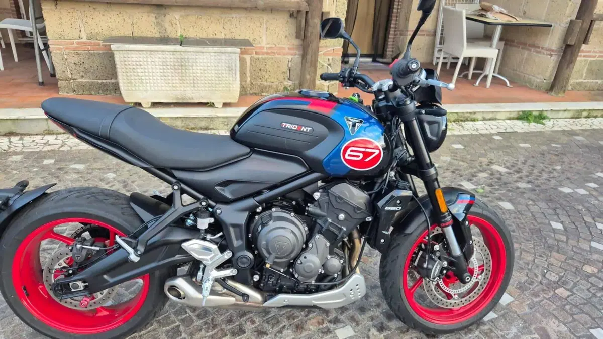 Triumph Trident 660 Triple Tribute Edition (2025 - 26)
