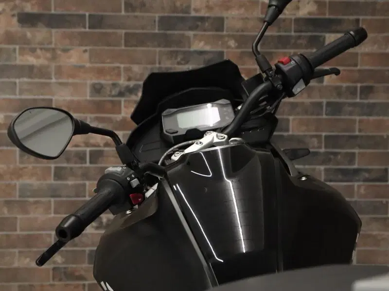 Bmw G 310 GS (2021 - 25) (10)