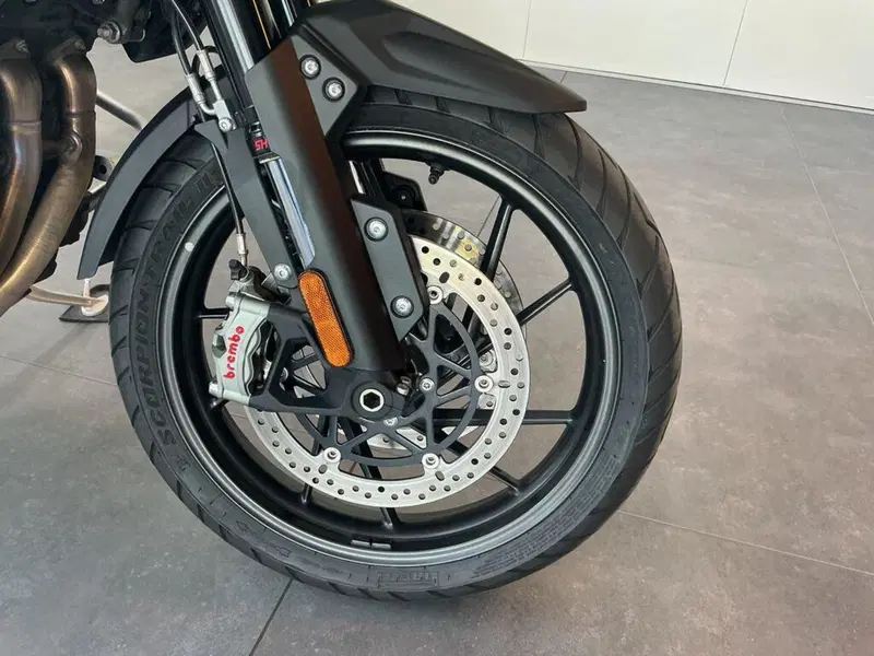 Triumph Tiger 1200 GT Pro (2022 - 23) (3)