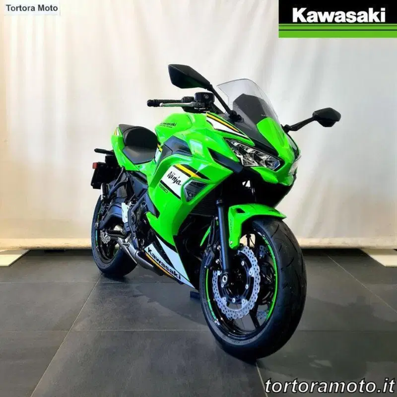 Kawasaki Ninja 650 Tourer (2021 - 24) (4)