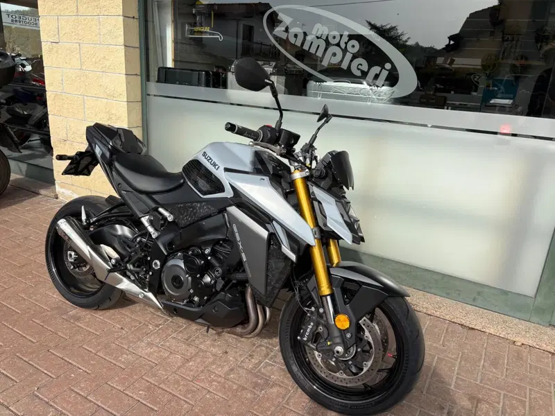 Suzuki GSX-S1000 (2021 - 25) (2)