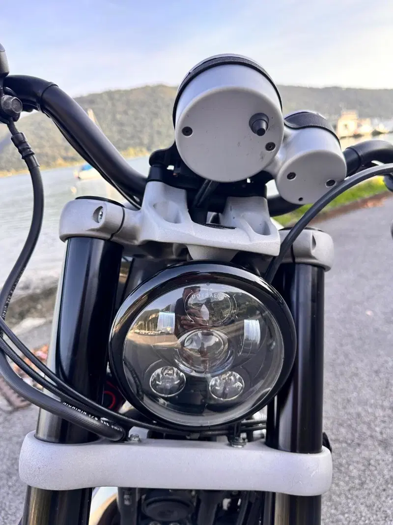 Harley-Davidson 1200 XR (2009 - 12) (5)