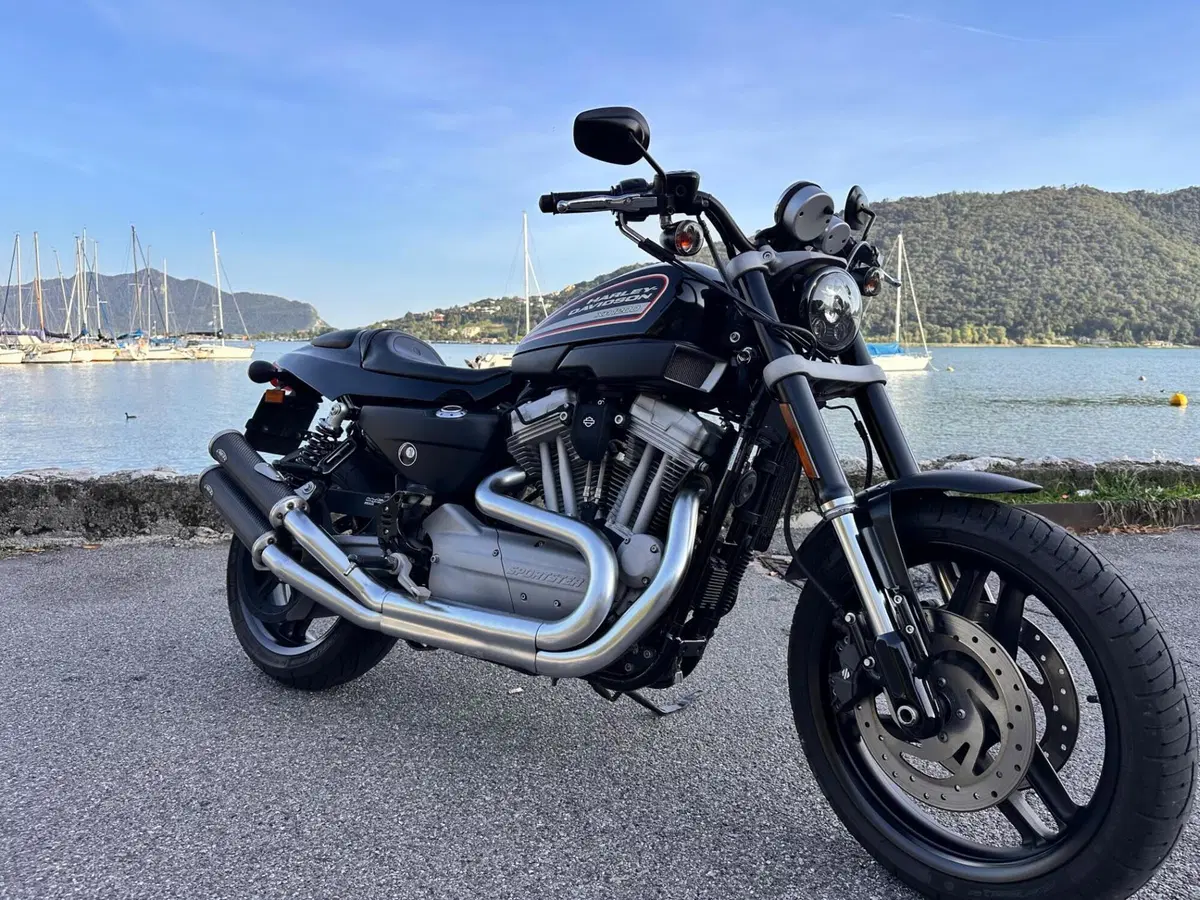 Harley-Davidson 1200 XR (2009 - 12) (7)