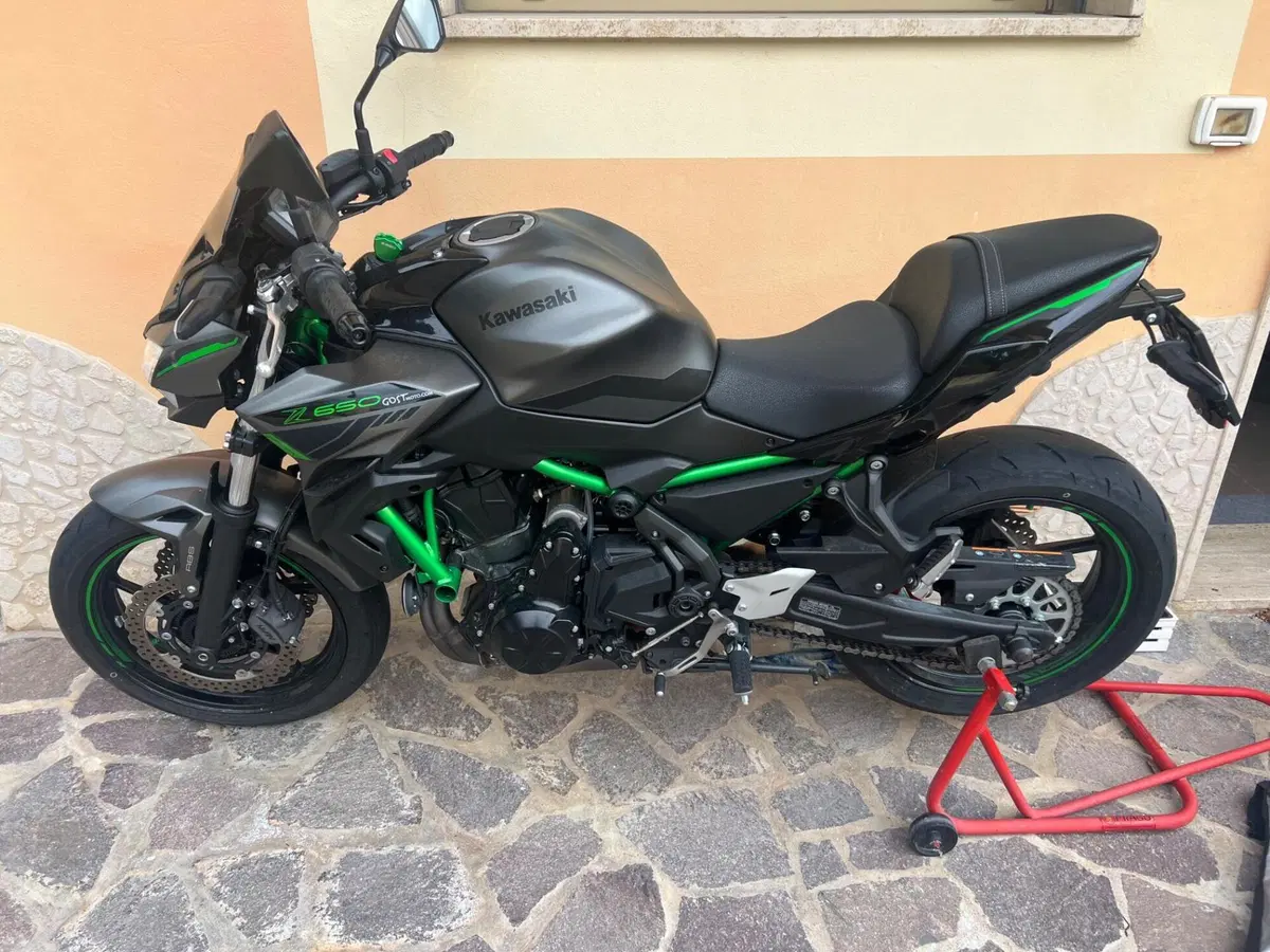 Kawasaki Z 650 (2021 - 24)