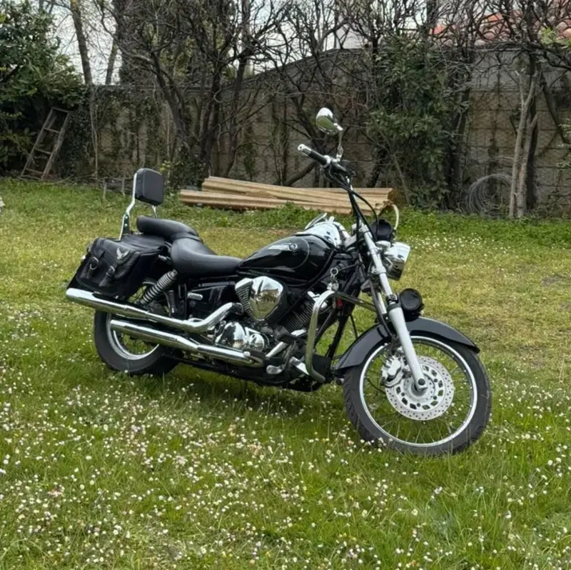 Yamaha XVS 125 Drag Star (2)