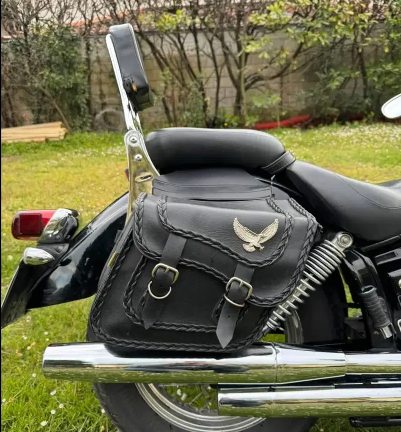 Yamaha XVS 125 Drag Star (3)