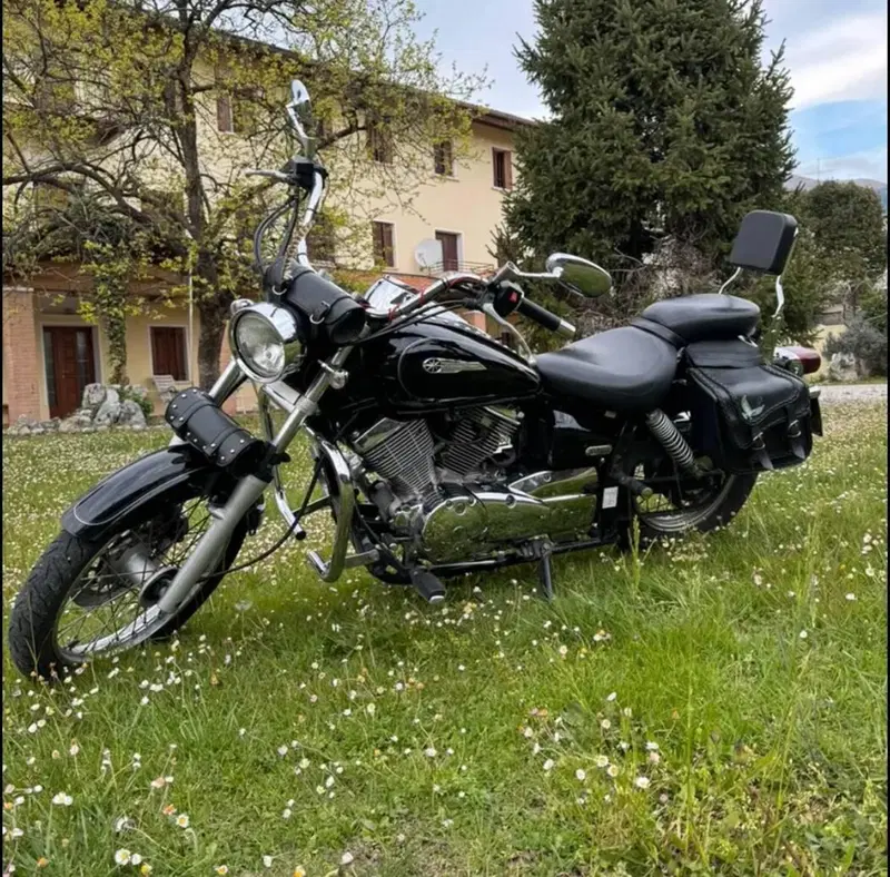 Yamaha XVS 125 Drag Star (6)