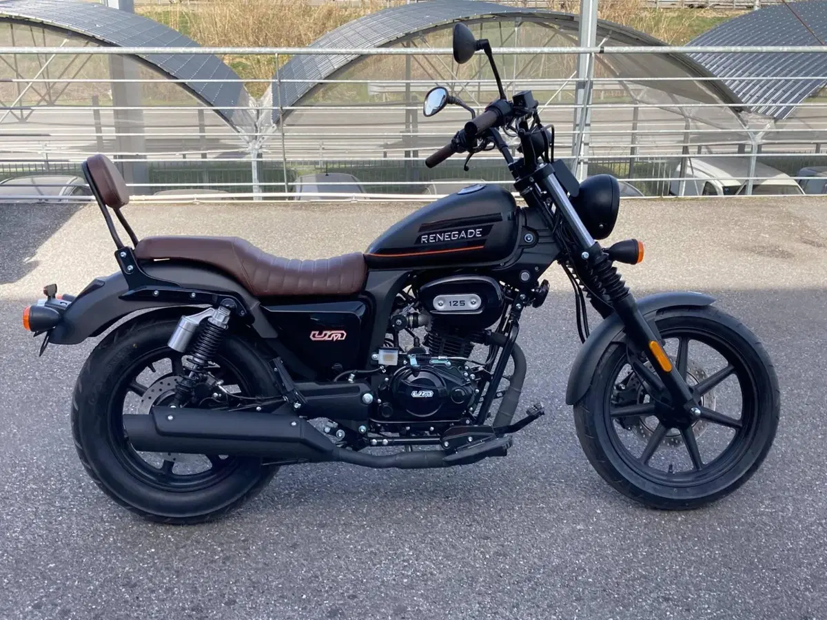 Um Italia Renegade Sport 125 (2023 - 26)