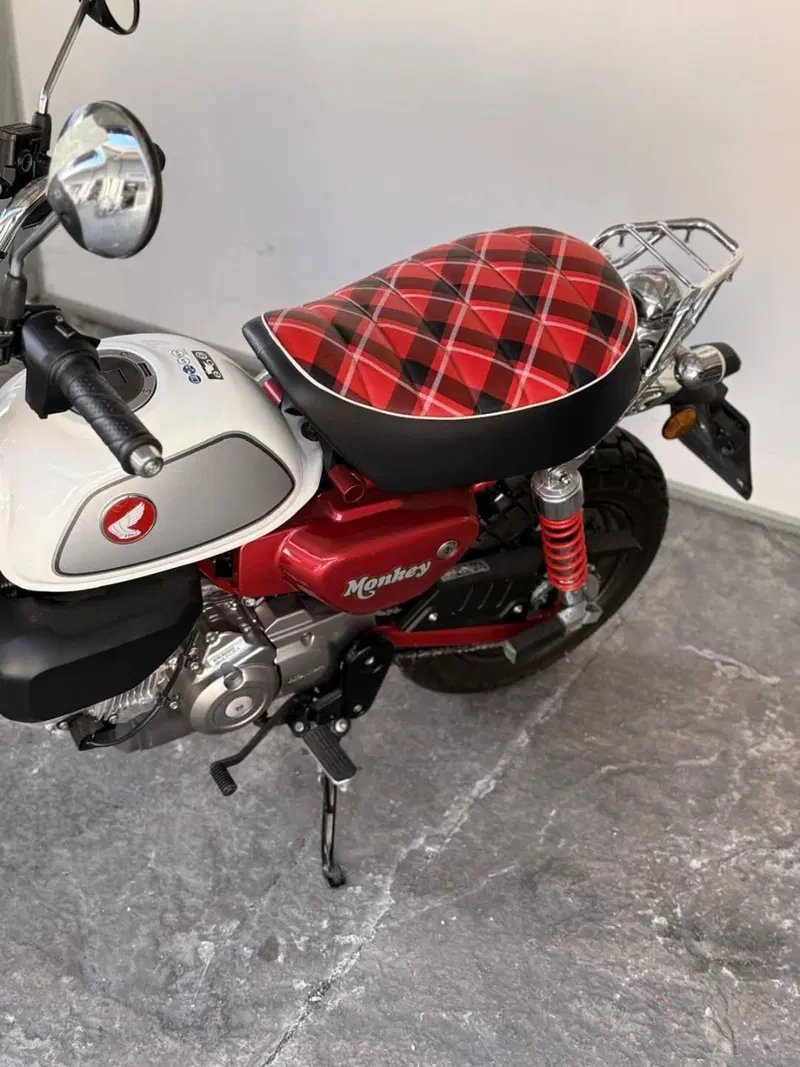 Honda Monkey 125 (2022 - 24) (5)