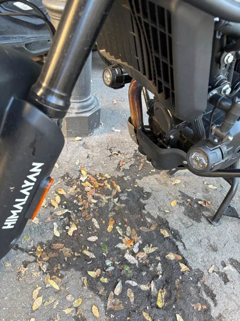 Royal Enfield Himalayan 450 Tubeless (2024 - 26) (4)