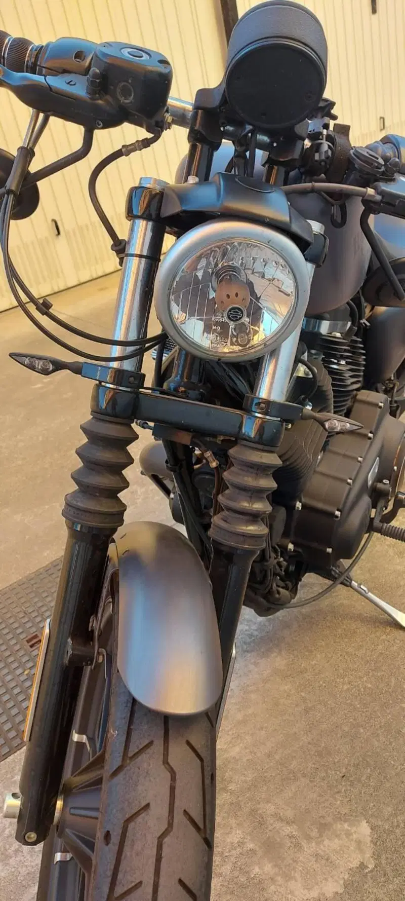 Harley-Davidson 883 Iron (2014 - 16) - XL 883N (9)