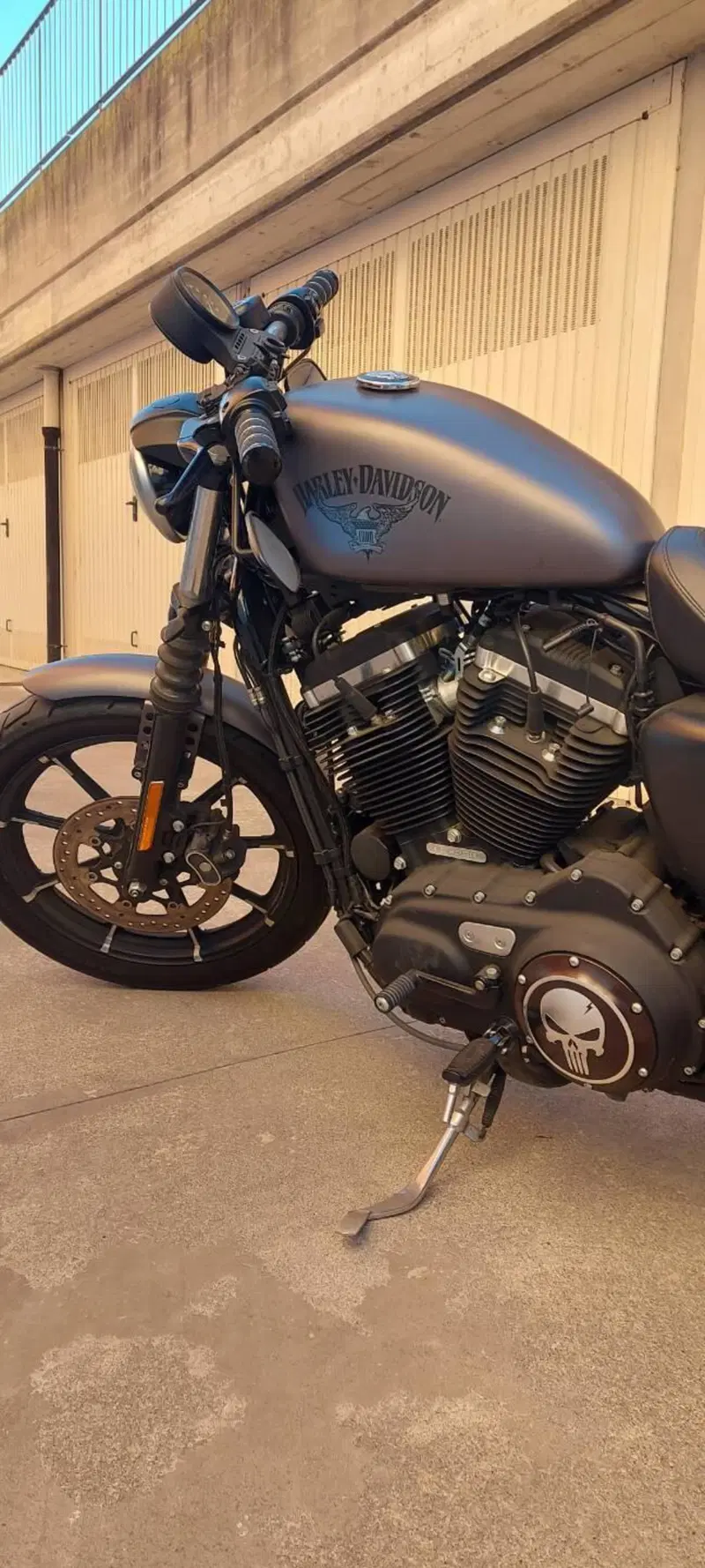 Harley-Davidson 883 Iron (2014 - 16) - XL 883N (5)