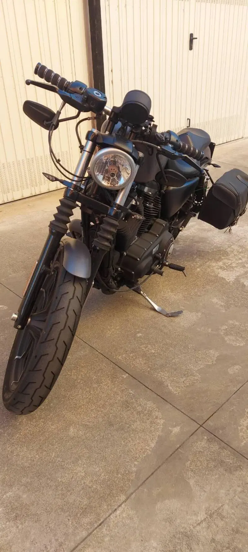 Harley-Davidson 883 Iron (2014 - 16) - XL 883N (10)