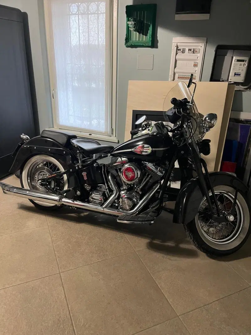 Harley-Davidson 1450 Springer (2005 - 06) - FXSTSI (2)