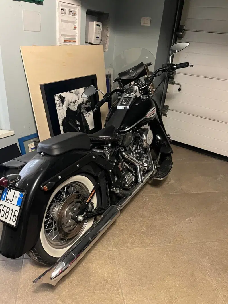 Harley-Davidson 1450 Springer (2005 - 06) - FXSTSI (3)