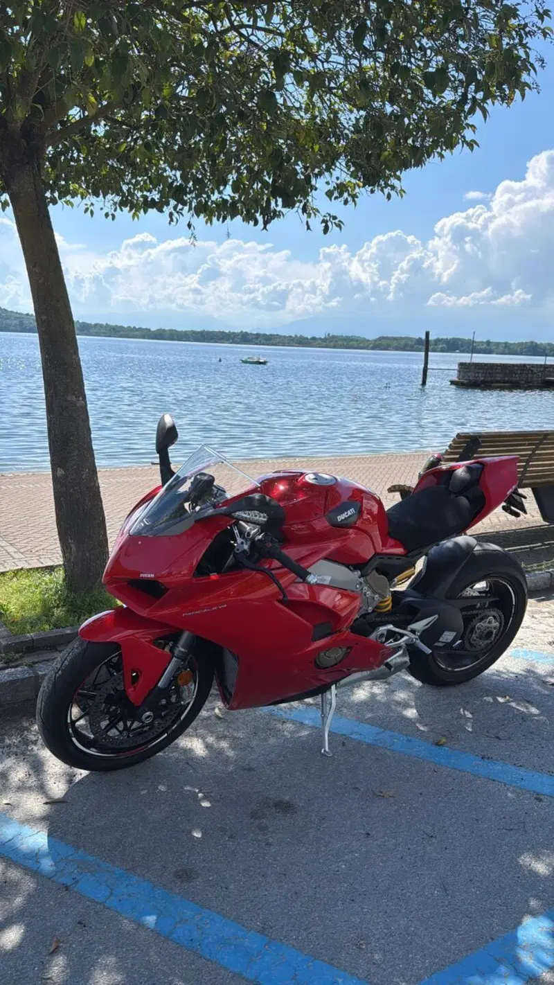 Ducati Panigale V4 1100 (2018 - 19) (3)
