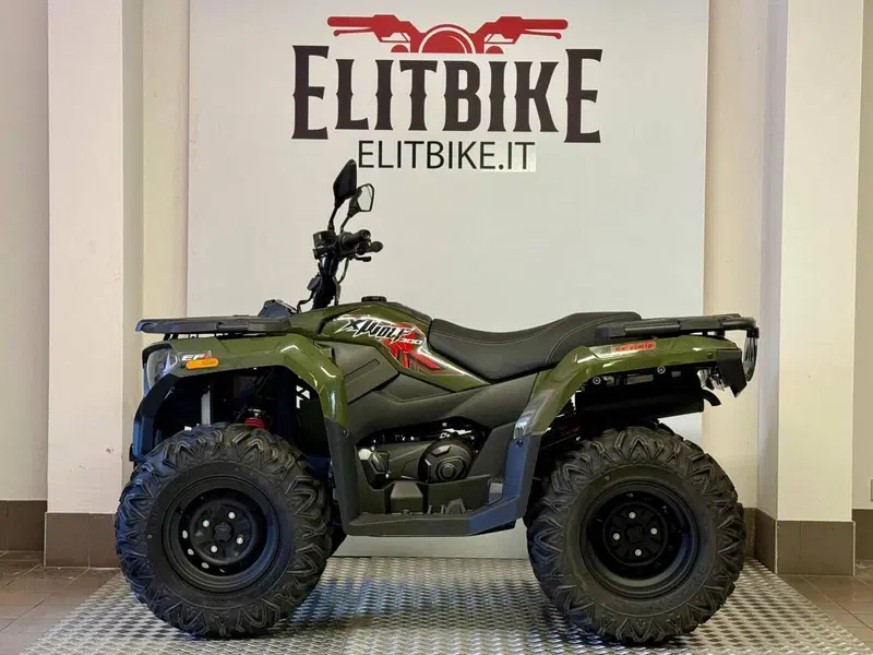 Loncin XWOLF 300 (2025 - 26)