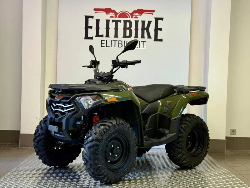 Loncin XWOLF 300 (2025 - 26) (2)