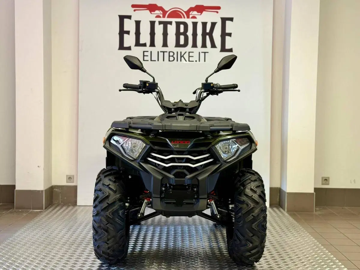 Loncin XWOLF 300 (2025 - 26) (3)