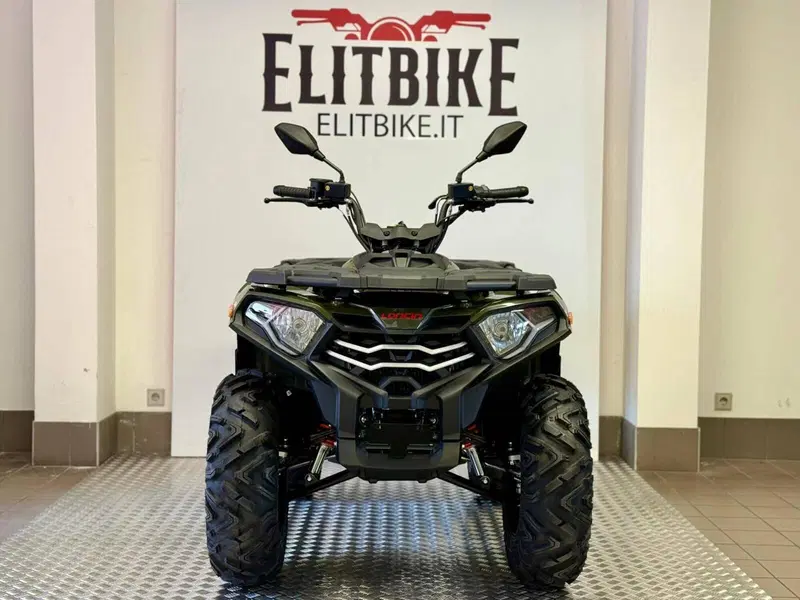 Loncin XWOLF 300 (2025 - 26) (3)