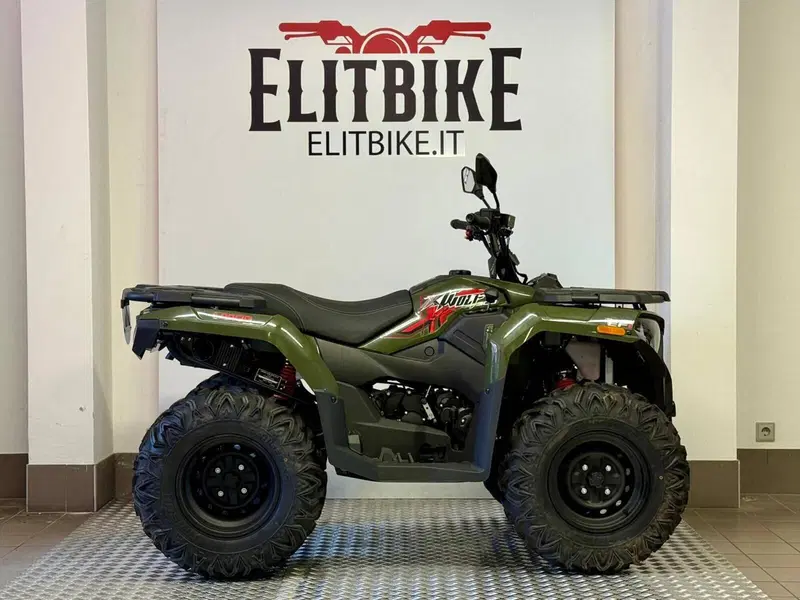 Loncin XWOLF 300 (2025 - 26) (5)