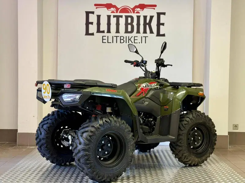 Loncin XWOLF 300 (2025 - 26) (6)