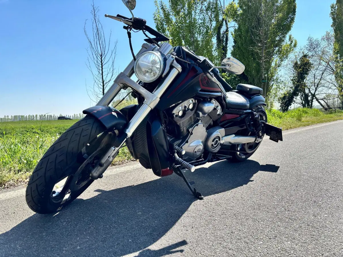 Harley-Davidson 1250 V-Rod Muscle (2009 - 17) - VRSCF
