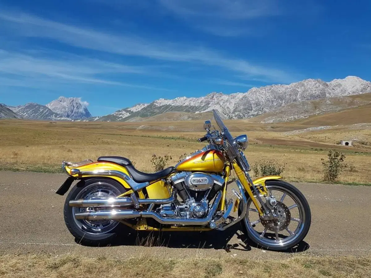Harley-Davidson 1800 Springer (2009 - 12) - FXSTSSE