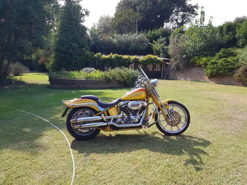 Harley-Davidson 1800 Springer (2009 - 12) - FXSTSSE (3)