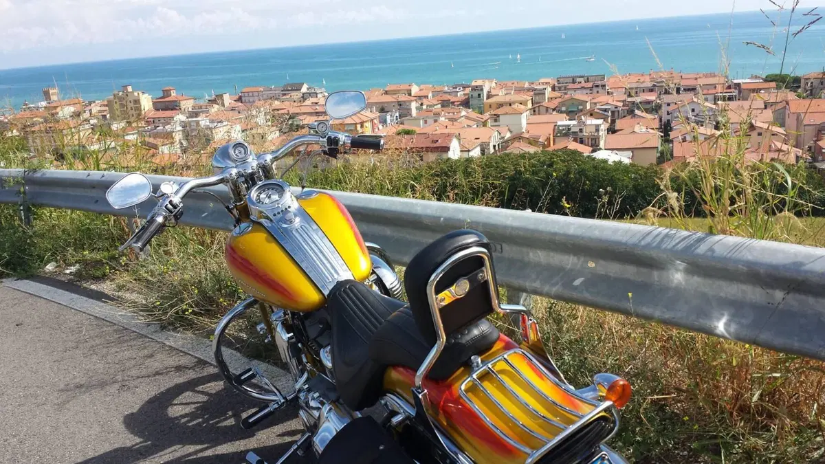 Harley-Davidson 1800 Springer (2009 - 12) - FXSTSSE (5)