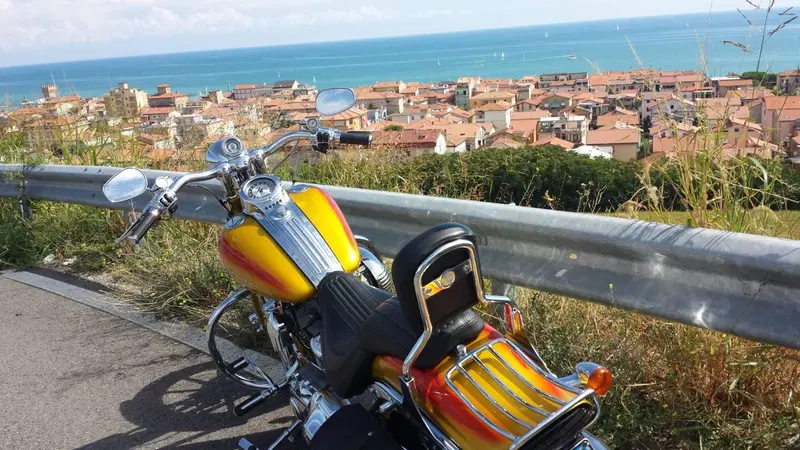 Harley-Davidson 1800 Springer (2009 - 12) - FXSTSSE (5)