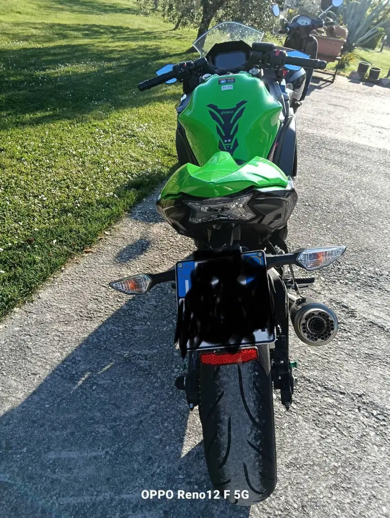 Kawasaki Ninja 650 Sport (2021 - 24) (4)