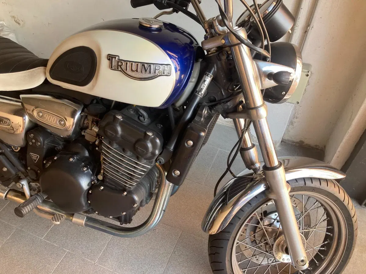 Triumph Legend TT 900 (1998 - 02) (2)