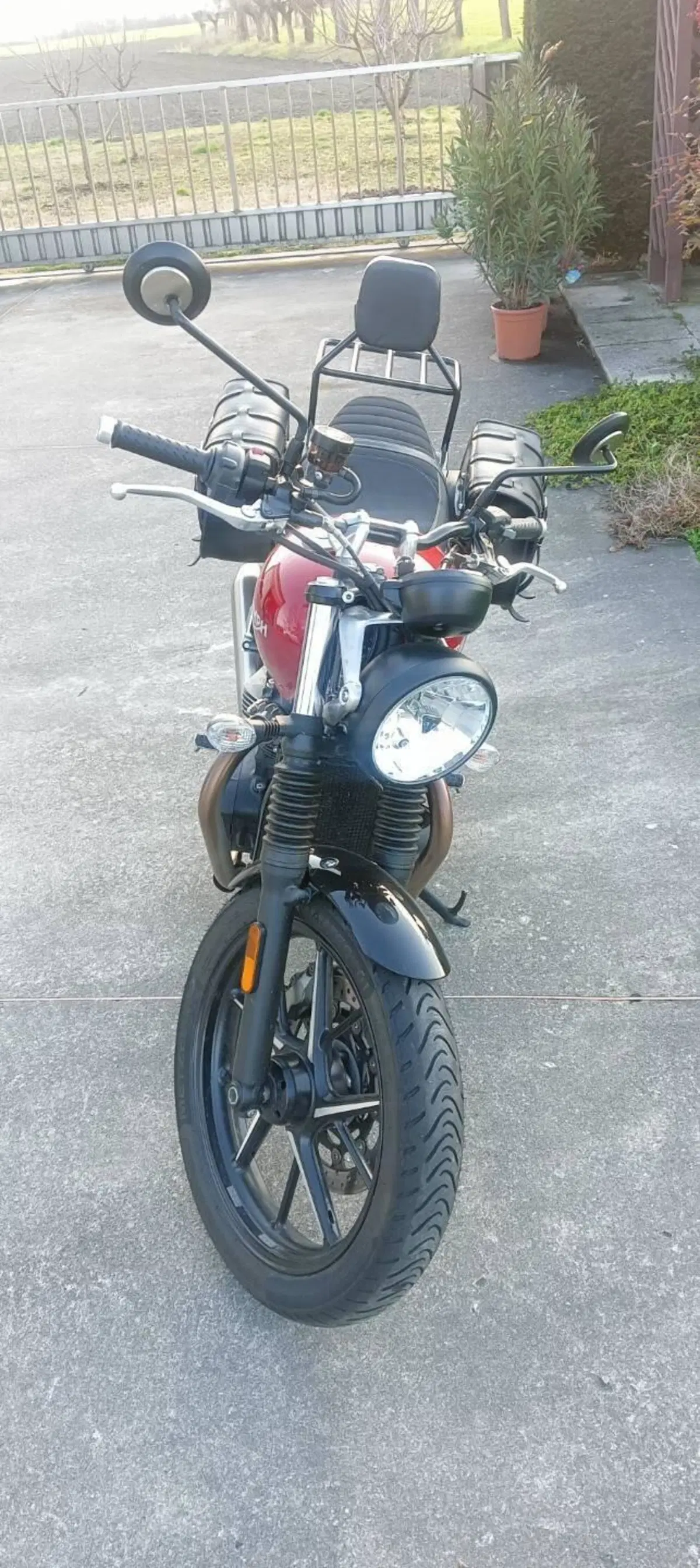 Triumph Street Twin 900 (2019 - 20) (4)