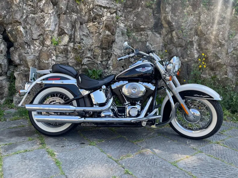 Harley-Davidson 1450 Deluxe (2005 - 06) - FLSTNI (2)