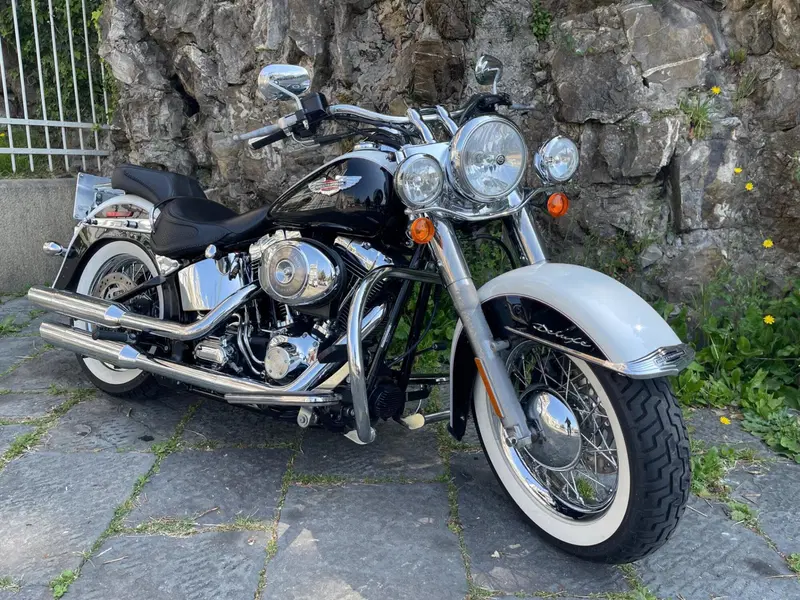 Harley-Davidson 1450 Deluxe (2005 - 06) - FLSTNI (4)