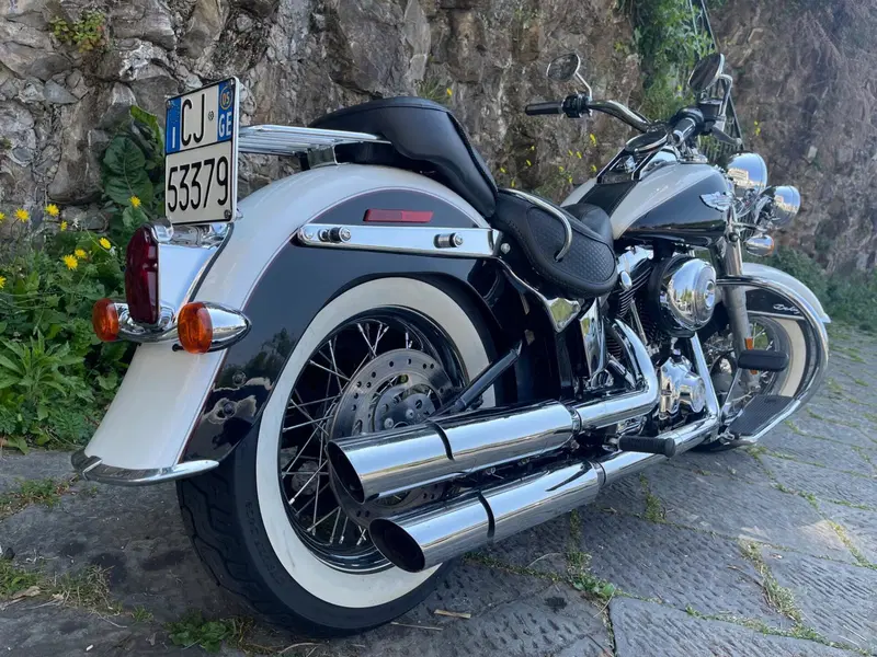 Harley-Davidson 1450 Deluxe (2005 - 06) - FLSTNI (5)