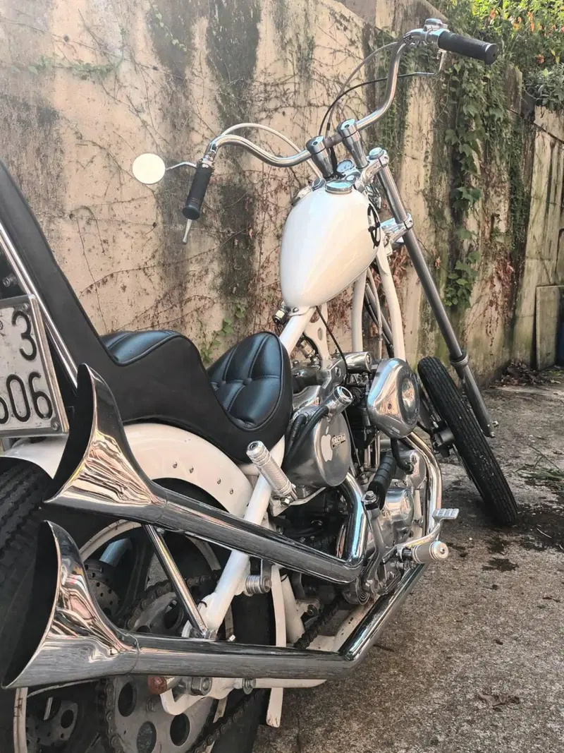 Harley-Davidson Ironhead  (2)