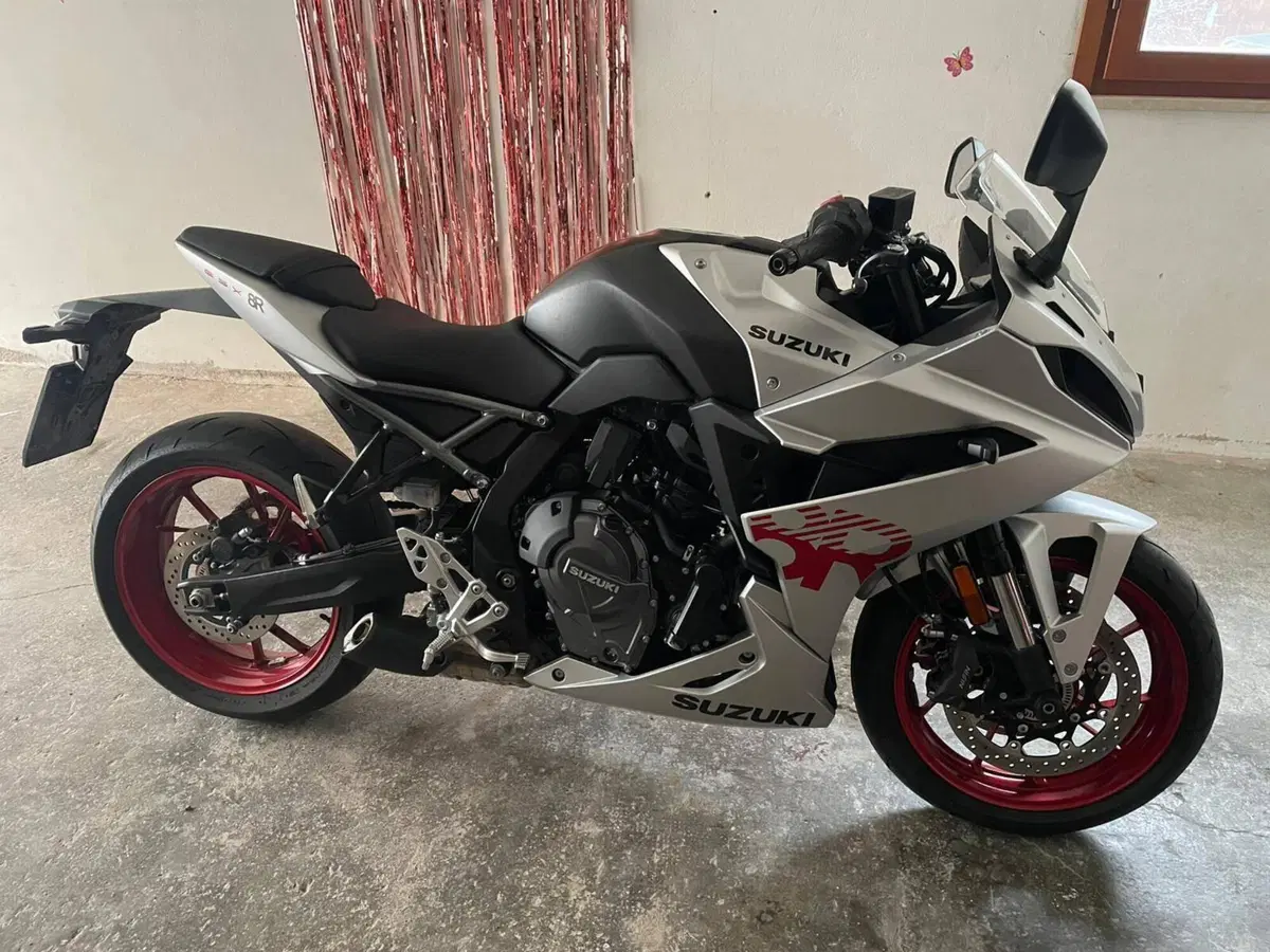 Suzuki GSX-8R (2024 - 26) (3)