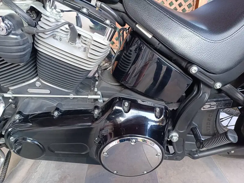 Harley-Davidson 1584 Blackline (2011 - 13) - FXS (4)