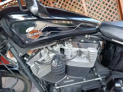 Harley-Davidson 1584 Blackline (2011 - 13) - FXS usata