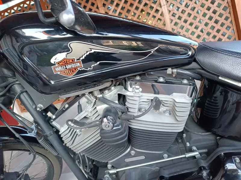 Harley-Davidson 1584 Blackline (2011 - 13) - FXS