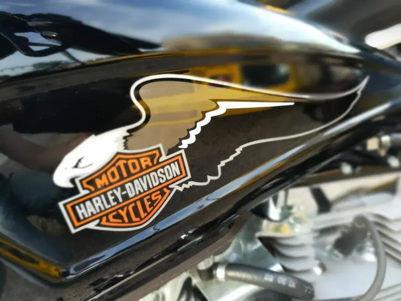 Harley-Davidson 1584 Blackline (2011 - 13) - FXS (6)