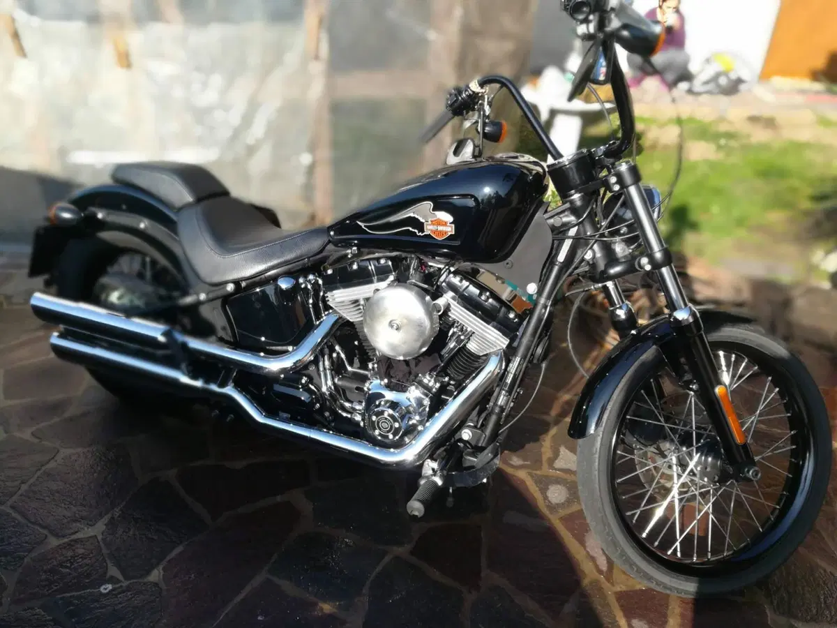 Harley-Davidson 1584 Blackline (2011 - 13) - FXS (7)