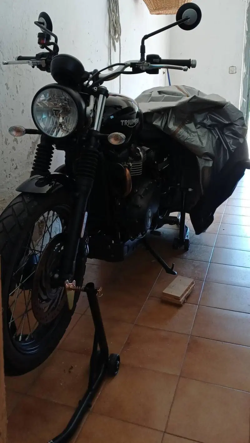 Triumph Street Scrambler 900 (2017 - 18) (5)